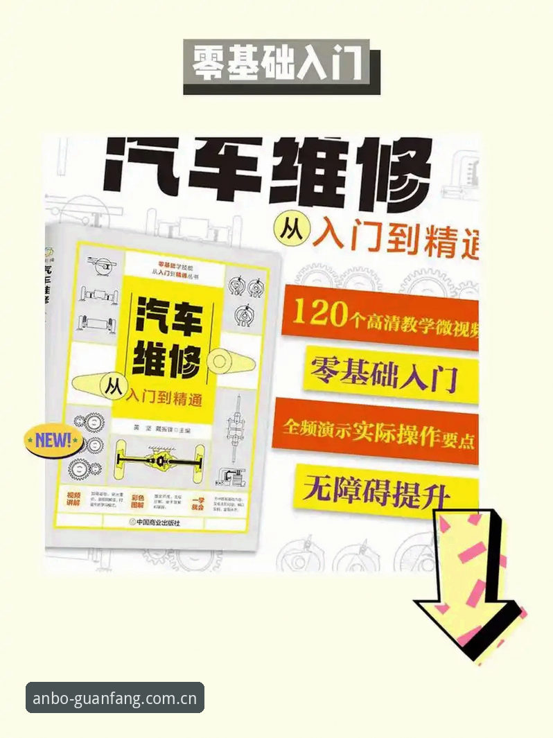 安博最新版实用指南：从入门到精通的必备知识