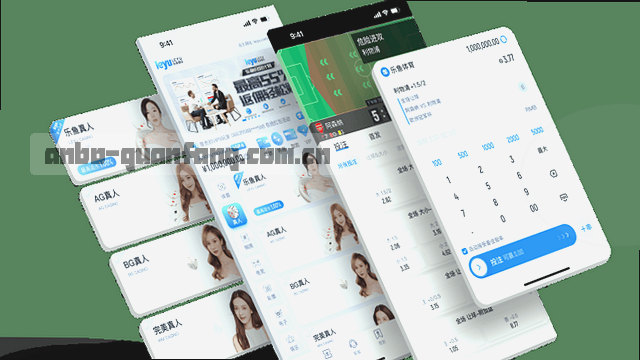 反馈准备 理性观察 对比取舍
